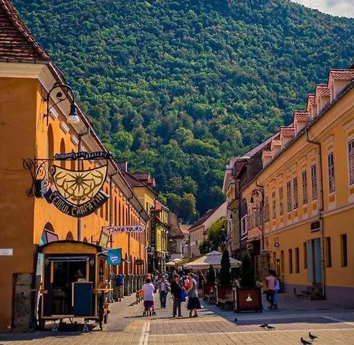 Old Town-high Hopes No2 Brasov